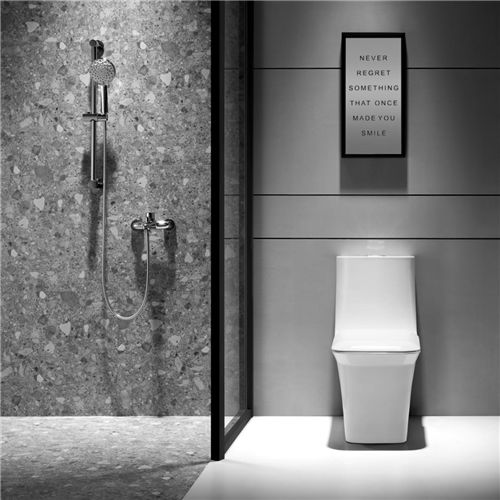 解決衛生間的終極難題，箭牌衛浴一步搞定